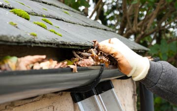 gutter cleaning Fengate