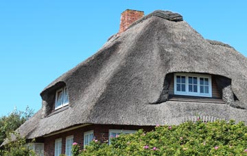 thatch roofing Fengate